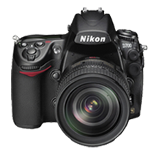 nikon